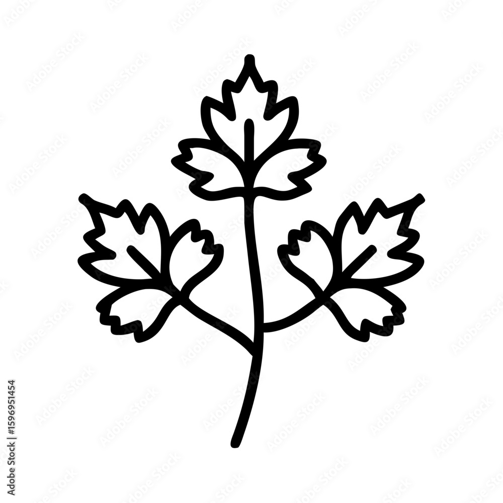 Poster outline drawing of a sprig of parsley with three leaves on a white plain background image art design