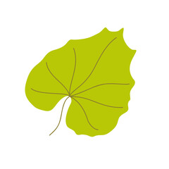 Fototapeta premium Pumpkin leaf hand drawn cartoon simple illustration in warm colors, clipart for seasonal autumn holidays celebration design, Thanksgiving, Halloween decor