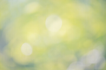 Defocus light background green with yellow. Natural abstract background