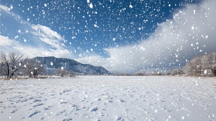 Winter landscape with snow falling on a field.