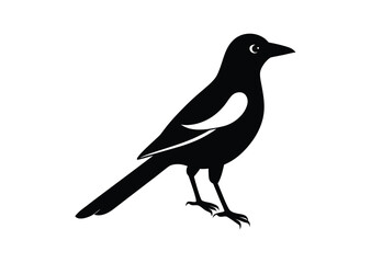 Obraz premium Magpie bird silhouette black vector white background