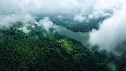 Misty mountain vista, lush forest, winding lake