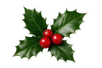 Holly sprig with red berries, isolated on transparent background, perfect for christmas projects