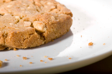 A macro shot of a golden-brown peanut butter cookie with visible chunks of peanuts resting on a clean white plate. 