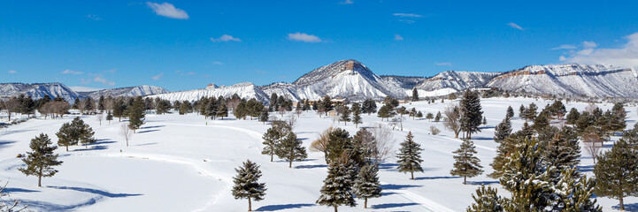Winter panorama of Durango Colorado cross country ski course on a clear blue sky day