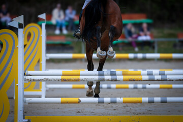 Horse show jumper from behind jumping over an obstacle in the combination.