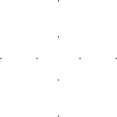 Ornamental Decorative Black Vector