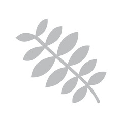 Obraz premium Fabaceae leaf icon