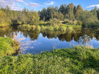  Close view of a peaceful riverbank with bright green grass and calm water reflecting summer forest...