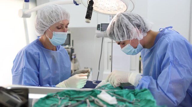 Concentrated young male veterinarian assisting senior female colleague during surgery on injured domestic animal in operating room of veterinary clinic. Pet medical care concept. High quality 4k