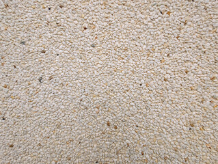 Top view of exposed aggregate surface with gravel stone in off-white cream and ochre tones with light cement or concrete for wall, slab, tile, floor, interior, exterior. Cladding, natural texture. 