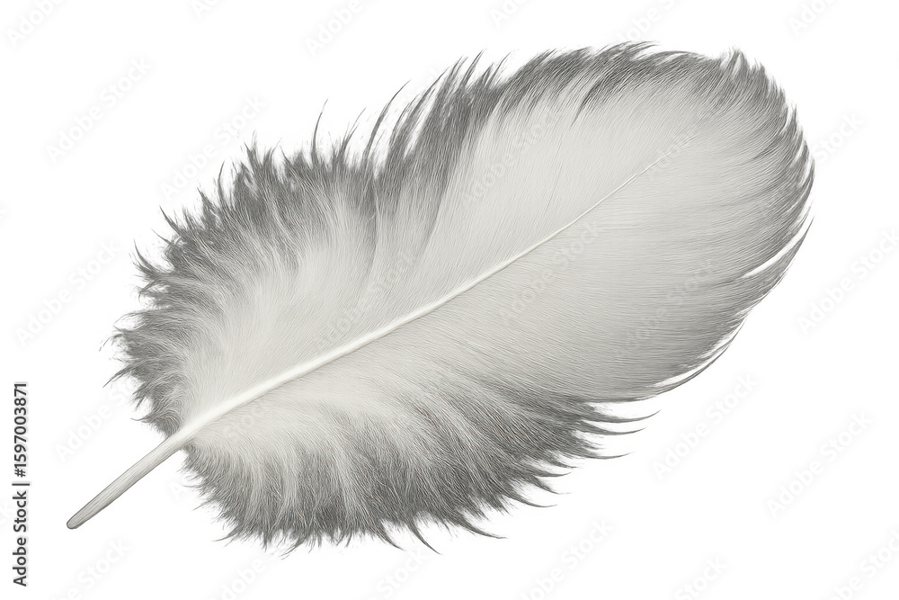 Poster white feather softly resting against transparent backdrop, highlighting delicate texture and etherea