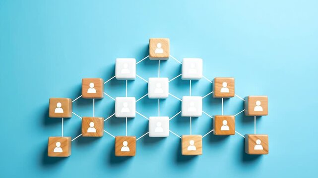 Organizational Structure:  Teamwork & Hierarchy Visualized