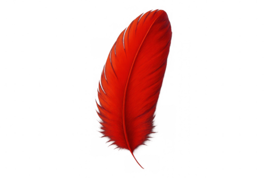 Vibrant red feather drifting gracefully, suspended in soft luminosity, highlighting intricate texture and delicate movement