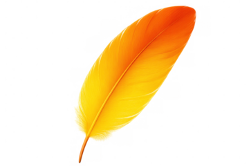 Realistic illustration of a vibrant feather with an orange tip fading to yellow, isolated on a transparent background, perfect for design projects