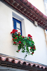 Window, Blue shutters in white house and windowsill decorated with beautiful flowers