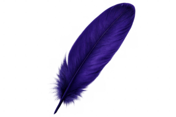 Delicate purple feather levitating against translucent surface, highlighting artistic design and natural elegance