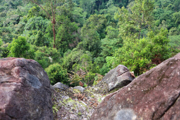 photo of hills and trees and rock