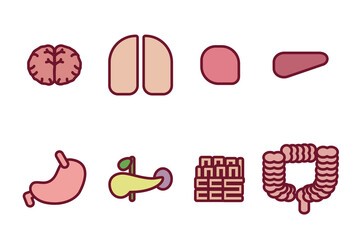 人の臓器のシンプルなイラストセット