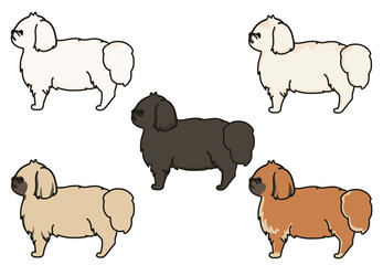 横から見た可愛いペキニーズのマルチカラーイラスト	