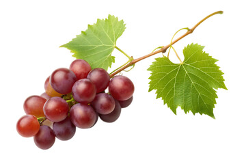 Fototapeta premium Cluster of vibrant red grapes on the vine with fresh green leaves, perfect for illustrating agriculture and healthy eating