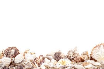 A diverse collection of seashells resting on sand offering a tranquil coastal essence ideal for evoking serene memories of sunny beach days