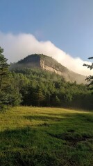 Morning landscape of a forested mountain shrouded in mist