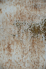 錆びて劣化した金属の表面