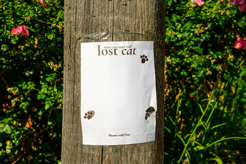 lost cat have you seen me please call text handbill notice with blank white space posted on a...