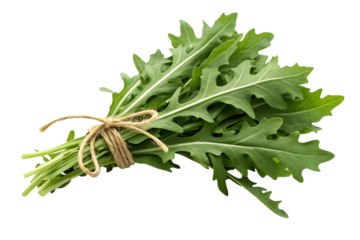 Fresh bunch of arugula tied with rustic twine, showcasing its vibrant green leaves and distinctive serrated edges.