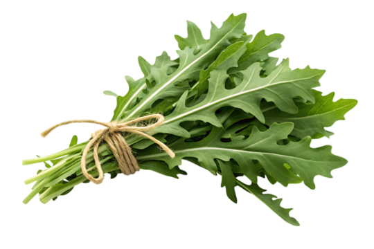 Fresh bunch of arugula tied with rustic twine, showcasing its vibrant green leaves and distinctive serrated edges.