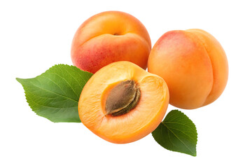 Fresh ripe apricots one cut in half revealing seed surrounded by green leaves