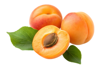 Fresh ripe apricots one cut in half revealing seed surrounded by green leaves