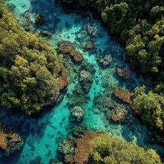 Aerial View Of Crystal Clear Water Over Mangrove Forest