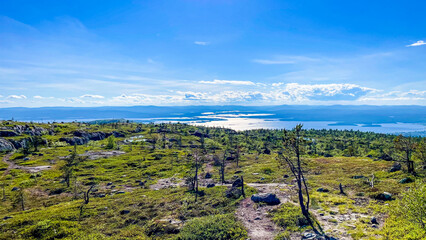 Scenic summer view from a mountain top overlooking a vast forest and shimmering lake under a clear blue sky in northern wilderness.