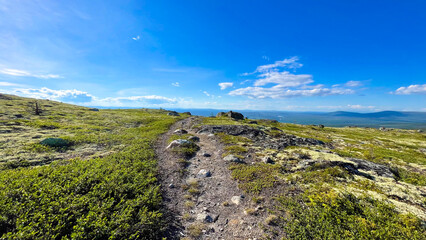  Rocky mountain trail stretching toward the horizon under a clear blue sky, surrounded by alpine vegetation and vast northern landscapes.