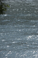 水面、反射、きらきら、光、河、川、海、表面