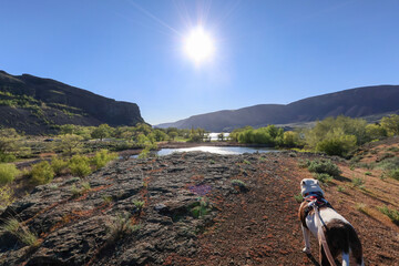 Sun Lakes State Park in Eastern Washington