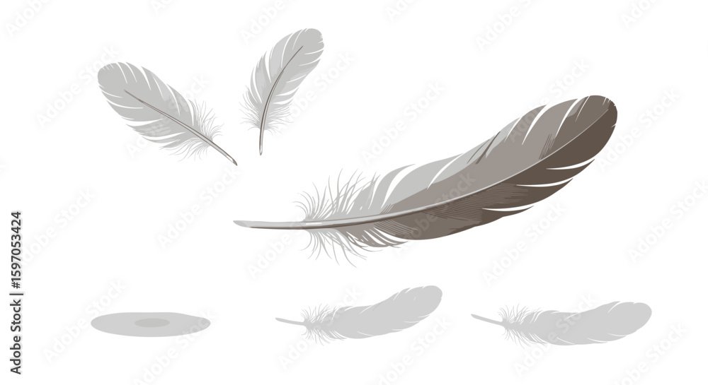 Aufkleber illustration showing three floating feathers and three feathers laying down on a white background