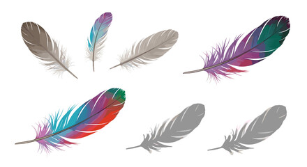 Collection of seven feathers with varying colors and shades on a white background design element