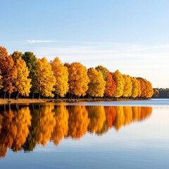 Soft angle view of autumn trees reflected in water