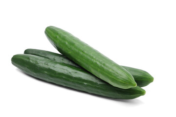 Fresh Japanese Cucumber. isolated on white background.
