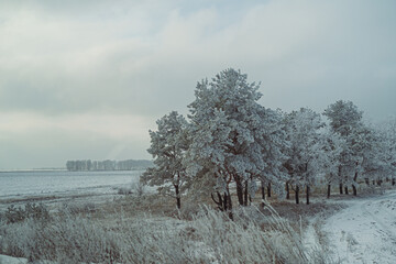 winter field