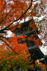京都 真如堂の三重塔と紅葉　The three-story pagoda at Shinnyo-do Temple in Kyoto, surrounded by the brilliant hues of autumn leaves.