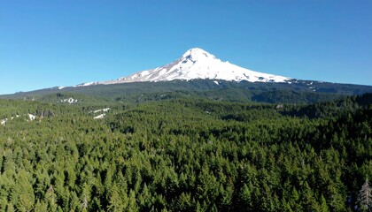 Fototapeta premium Mountain peak, lush forest, clear sky