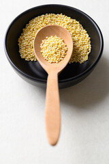 Yellow millet grain in black bowl with spoon on white background, Food ingredient