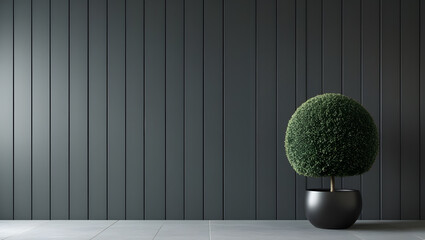 Minimalist Topiary Plant Against Dark Gray Vertical Plank Wall for Modern Interior Design