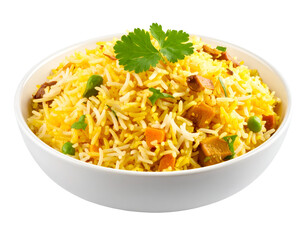 veg biryani rice isolated on transparent png