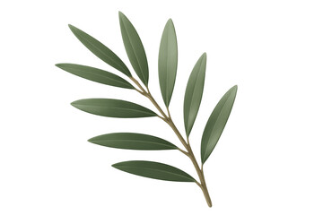 Green olive branch displaying fresh, vibrant leaves against transparent backdrop, highlighting botanical detail for mediterranean-inspired design applications