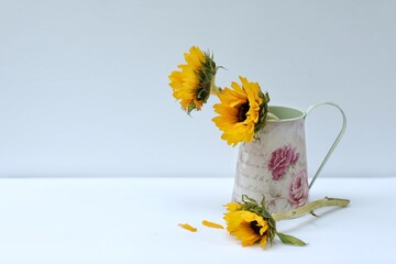 Sunflower, flowers in a vase on the table, white background, summer, bouquet, greetings, holiday